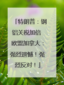 特朗普：钢铝关税加倍 欧盟加拿大：强烈遗憾！强烈反对！