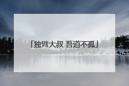 独臂大叔 吾道不孤