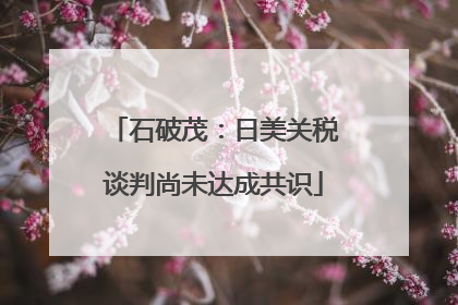 石破茂：日美关税谈判尚未达成共识