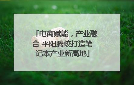 电商赋能，产业融合 平阳腾蛟打造笔记本产业新高地