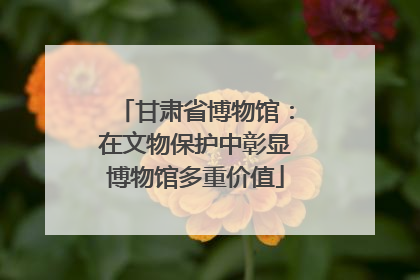 甘肃省博物馆：在文物保护中彰显博物馆多重价值