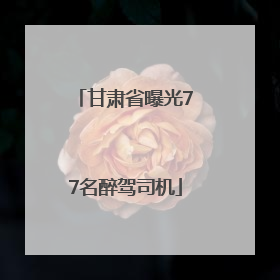 甘肃省曝光77名醉驾司机