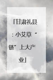 甘肃礼县：小艾草“链”上大产业