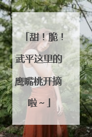 甜！脆！武平这里的鹰嘴桃开摘啦～