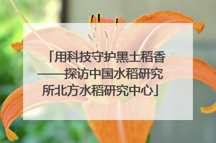 用科技守护黑土稻香——探访中国水稻研究所北方水稻研究中心