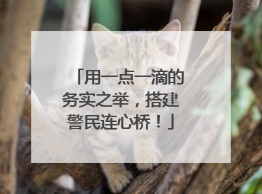用一点一滴的务实之举，搭建警民连心桥！