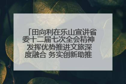 田向利在乐山宣讲省委十二届七次全会精神 发挥优势推进文旅深度融合 务实创新助推高质量发展
