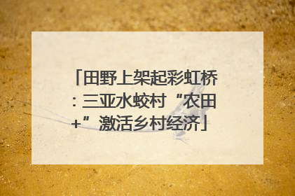 田野上架起彩虹桥：三亚水蛟村“农田+”激活乡村经济