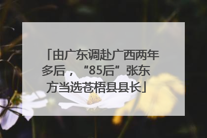 由广东调赴广西两年多后，“85后”张东方当选苍梧县县长