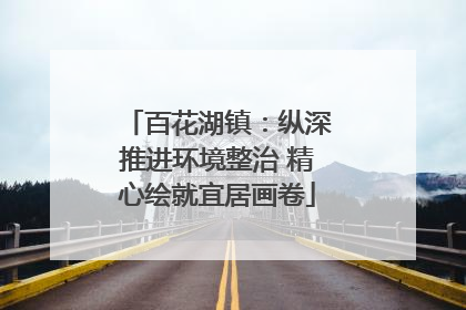 百花湖镇：纵深推进环境整治 精心绘就宜居画卷