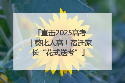 直击2025高考｜葵比人高！宿迁家长“花式送考”