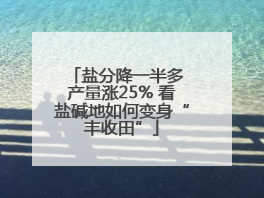 盐分降一半多 产量涨25% 看盐碱地如何变身“丰收田”