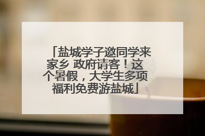 盐城学子邀同学来家乡 政府请客！这个暑假，大学生多项福利免费游盐城