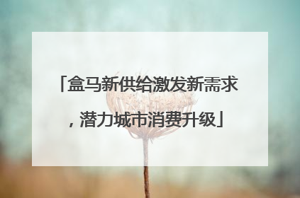 盒马新供给激发新需求，潜力城市消费升级