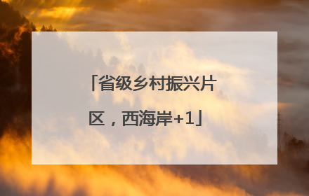 省级乡村振兴片区，西海岸+1