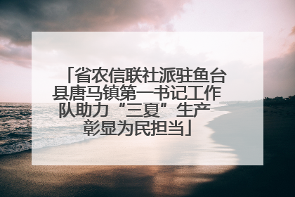 省农信联社派驻鱼台县唐马镇第一书记工作队助力“三夏”生产 彰显为民担当