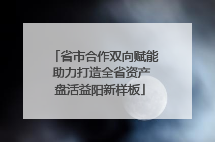省市合作双向赋能 助力打造全省资产盘活益阳新样板