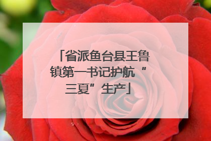 省派鱼台县王鲁镇第一书记护航“三夏”生产