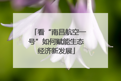 看“南昌航空一号”如何赋能生态经济新发展