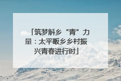 筑梦斛乡“青”力量：太平畈乡乡村振兴青春进行时