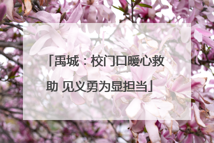 禹城：校门口暖心救助 见义勇为显担当