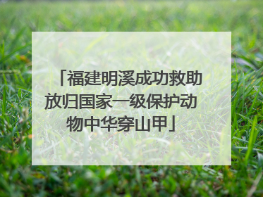 福建明溪成功救助放归国家一级保护动物中华穿山甲