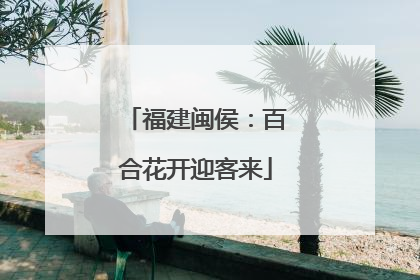 福建闽侯：百合花开迎客来