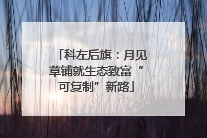 科左后旗：月见草铺就生态致富“可复制”新路