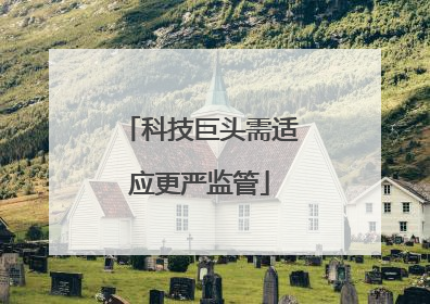 科技巨头需适应更严监管