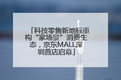 科技零售新地标重构“家场景”消费生态，京东MALL深圳首店启幕
