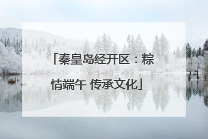 秦皇岛经开区：粽情端午 传承文化