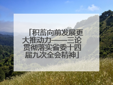 积蓄向前发展更大推动力——三论贯彻落实省委十四届九次全会精神