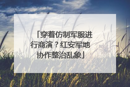 穿着仿制军服进行商演？红安军地协作整治乱象