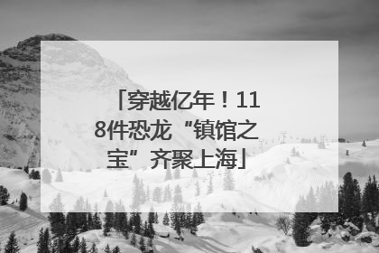 穿越亿年！118件恐龙“镇馆之宝”齐聚上海