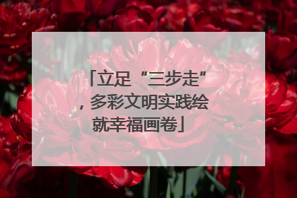 立足“三步走”，多彩文明实践绘就幸福画卷