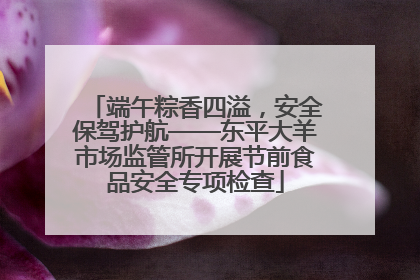 端午粽香四溢，安全保驾护航——东平大羊市场监管所开展节前食品安全专项检查