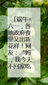 端午+六一，各地政府食堂又出新花样！网友：“妈，我今天不回家吃了”