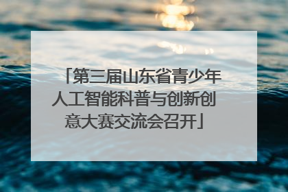 第三届山东省青少年人工智能科普与创新创意大赛交流会召开