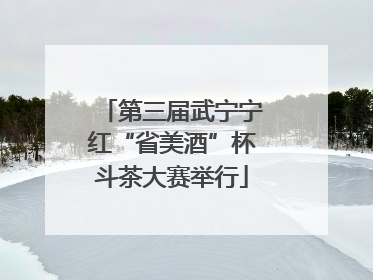 第三届武宁宁红“省美酒”杯斗茶大赛举行