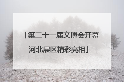 第二十一届文博会开幕 河北展区精彩亮相