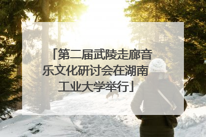 第二届武陵走廊音乐文化研讨会在湖南工业大学举行
