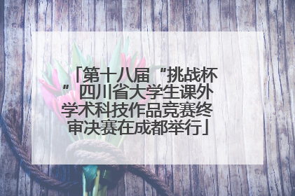 第十八届“挑战杯”四川省大学生课外学术科技作品竞赛终审决赛在成都举行
