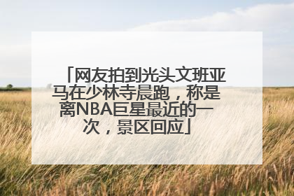 网友拍到光头文班亚马在少林寺晨跑，称是离NBA巨星最近的一次，景区回应