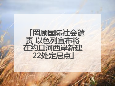 罔顾国际社会谴责 以色列宣布将在约旦河西岸新建22处定居点