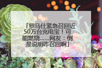 罗马仕紧急召回近50万台充电宝！可能燃烧……网友：倒是说明咋召回啊