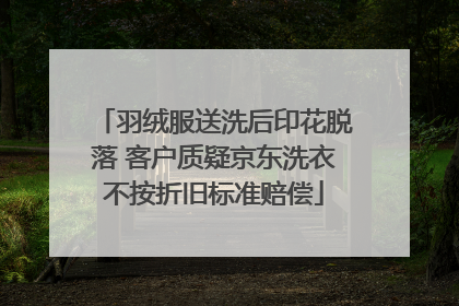 羽绒服送洗后印花脱落 客户质疑京东洗衣不按折旧标准赔偿