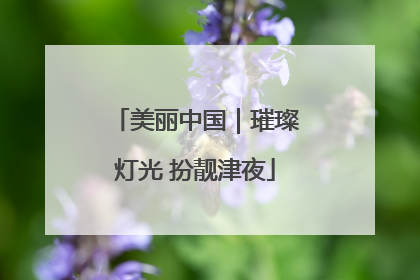 美丽中国｜璀璨灯光 扮靓津夜