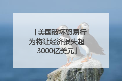 美国破坏贸易行为将让经济损失超3000亿美元
