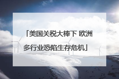 美国关税大棒下 欧洲多行业恐陷生存危机
