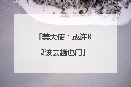 美大使：或许B-2该去趟也门